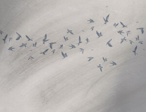 Delicati uccelli su uno sfondo grigio testurizzato carta da parati