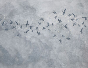 Uccelli delicati su un cielo stellato grigio carta da parati